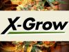 X-GROW �� xseeds