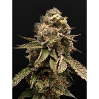 Alien-������